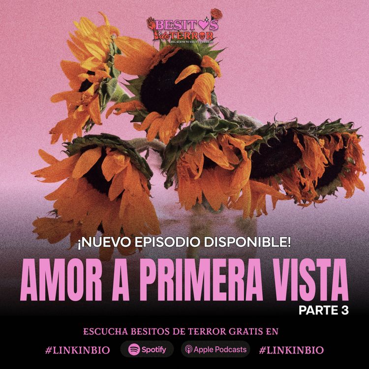 cover art for Amor a Primera Vista (parte 3)