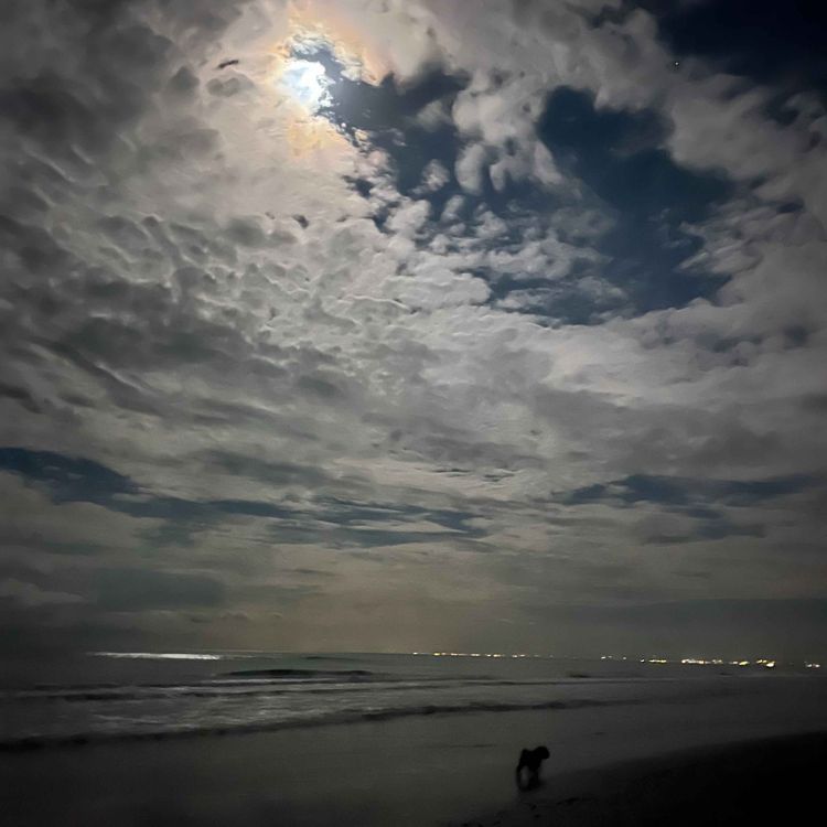 cover art for No 4: The magic of changing plans