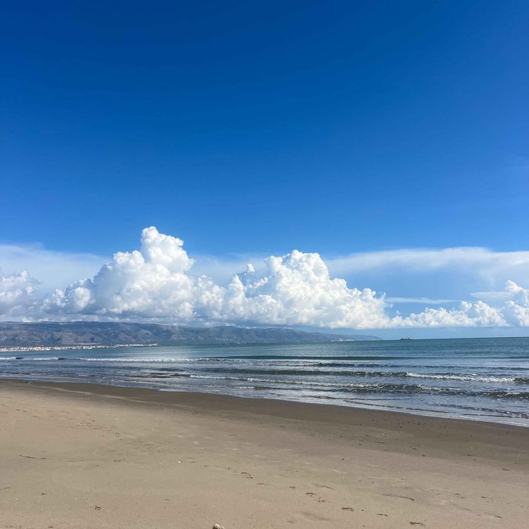 cover art for No 5: Embracing the energy of now