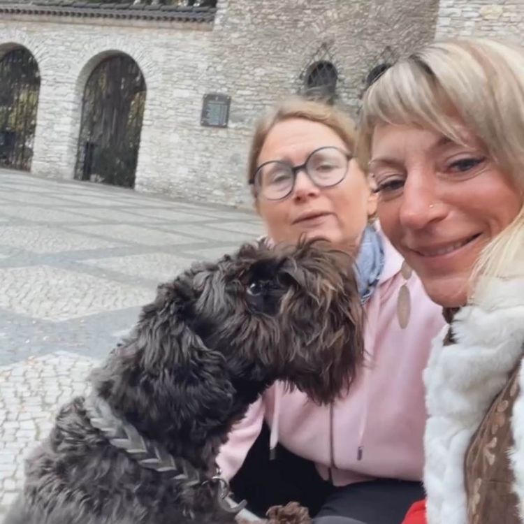 cover art for No 12: Parting energy brings us magic