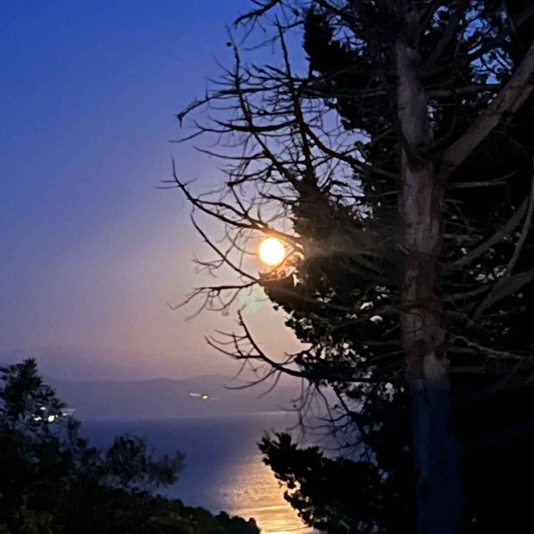 cover art for No 14: Embracing the Full Moon Energy