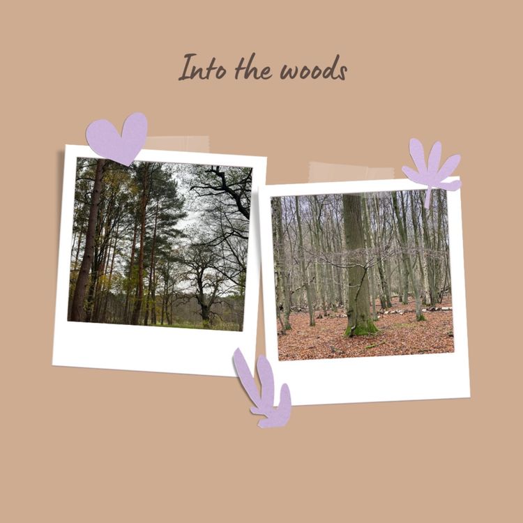 cover art for No 15: The freedom of not knowing