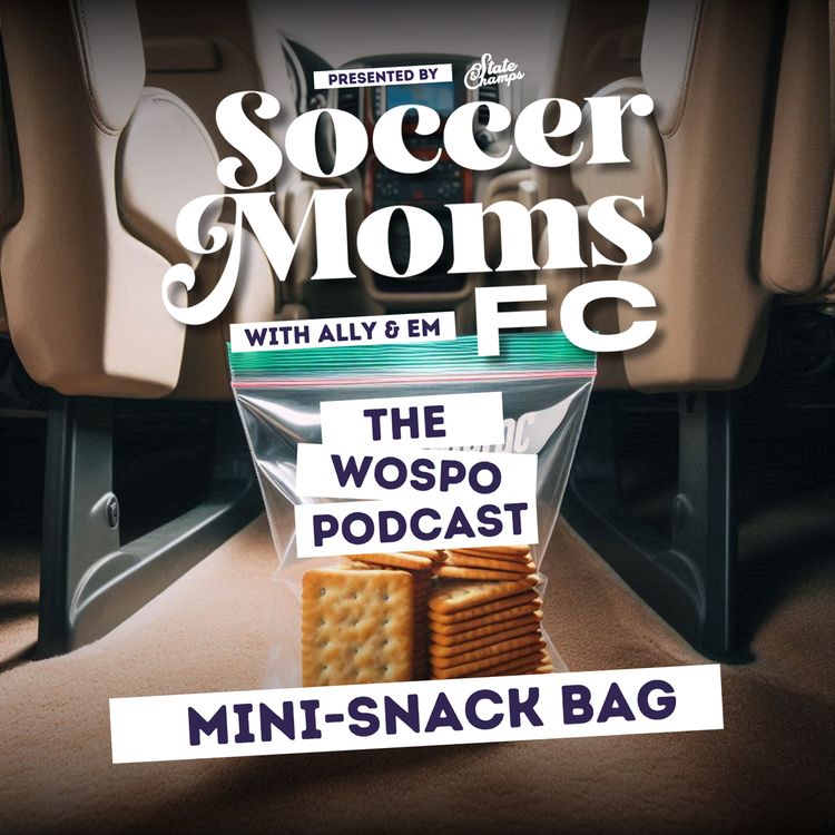 cover art for Mini-Snack Bag: New Year's Goals and Em's Voicemails