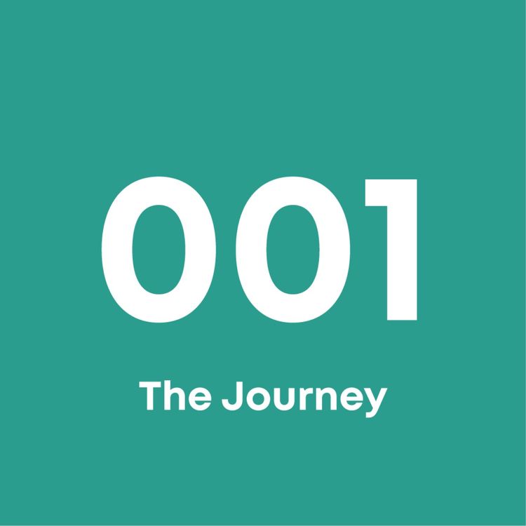 cover art for The Journey