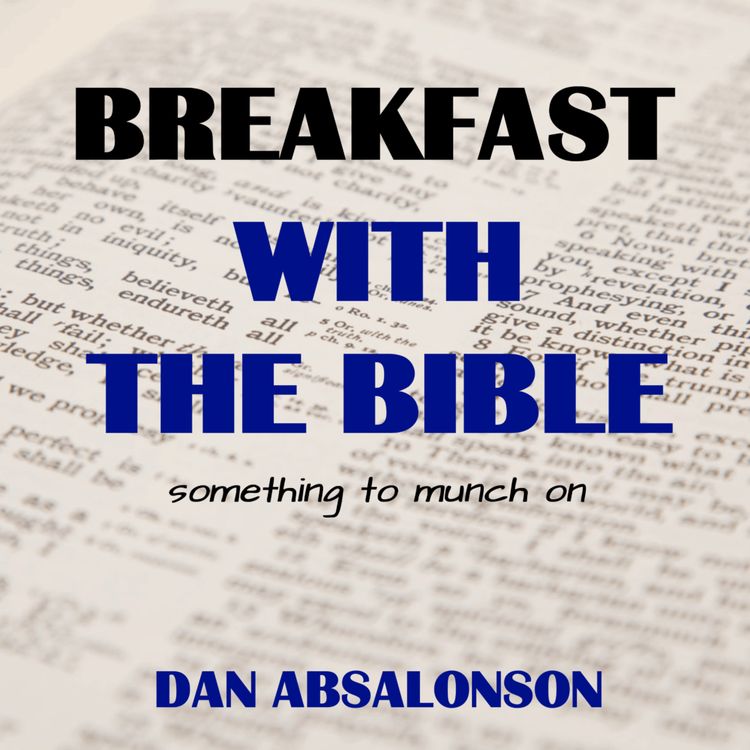 cover art for Episode 007 | John 1:29-34