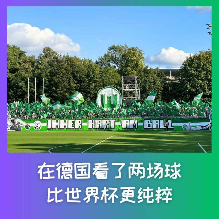 cover art for 596 在德国看了两场球,比世界杯更纯粹