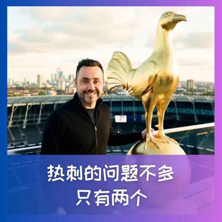 cover art for 597 热刺的问题不多,只有两个