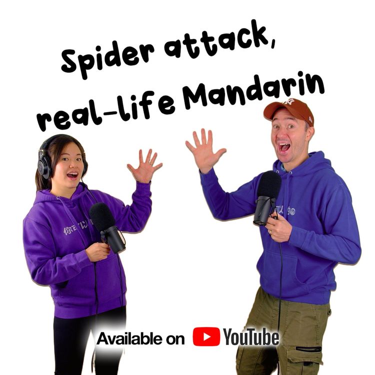 cover art for Spider Boat Trip, Job Hack, Little Wins | Mandarin Monkey podcast | Learn Mandarin Chinese with natural conversation