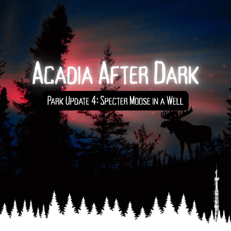 cover art for Acadia After Dark Park Update 4