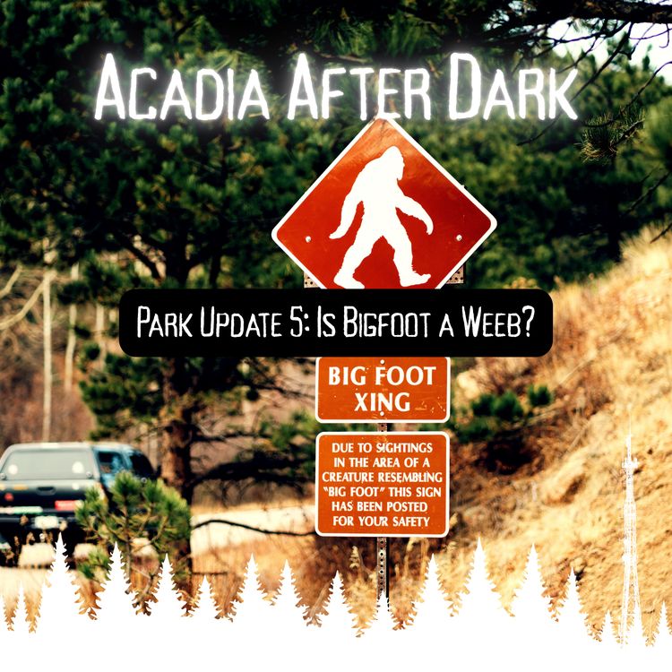 cover art for Acadia After Dark Park Update 5