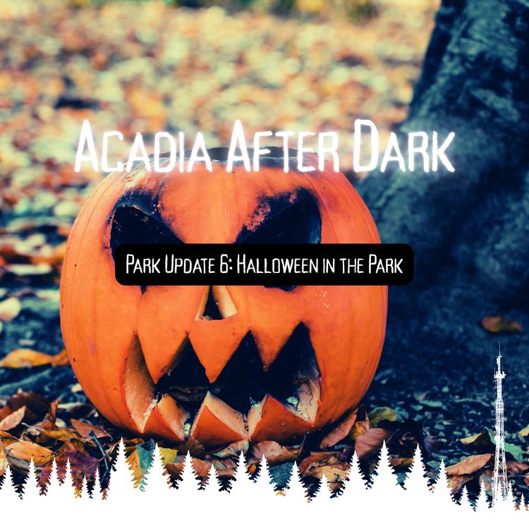 cover art for Acadia After Dark Park Update 6