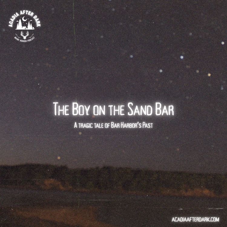 cover art for The Boy on the Sand Bar