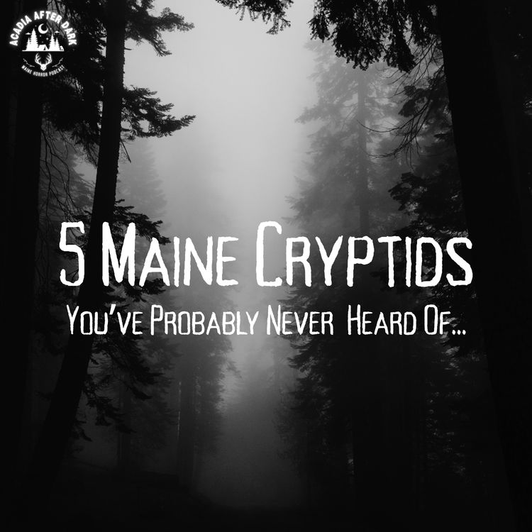 cover art for 5 Maine Cryptids You've Probably Never Heard Of...