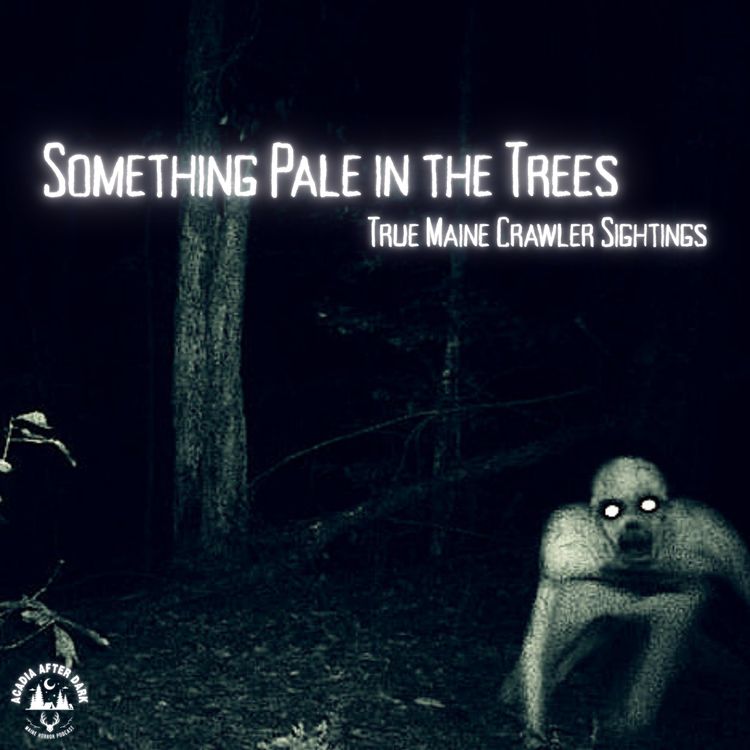cover art for Something Pale in the Trees: True Maine Crawler Sightings
