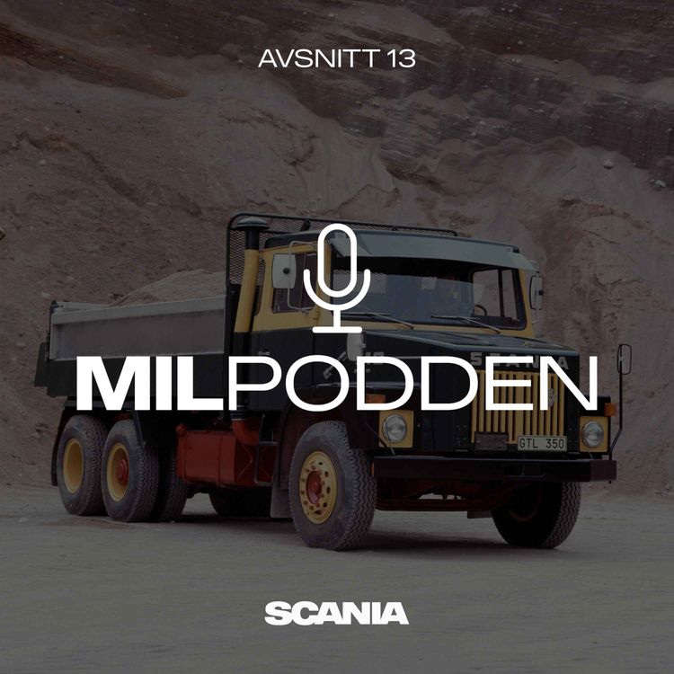 cover art for 13. V8-ljudet