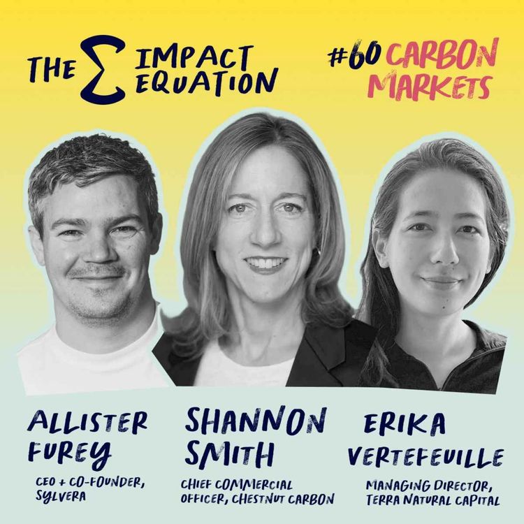 cover art for The Builder, the Analyst & the Financier: Carbon Markets Roundtable