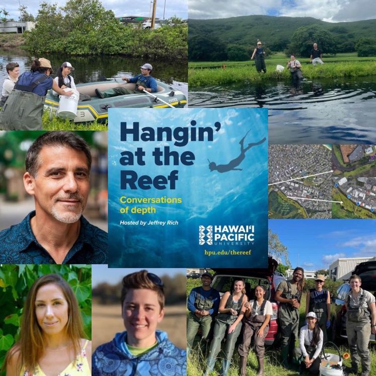 cover art for Science, Community, and the Ecology of Genki Balls