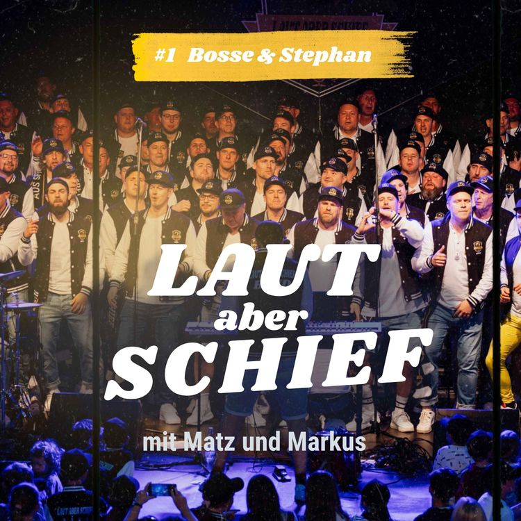 cover art for Bosse & Stephan von Laut Aber Schief