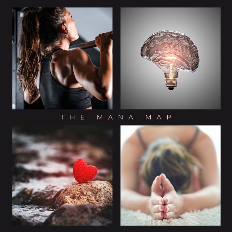 cover art for Intro to the MANA 4 Body Blueprint & Map.