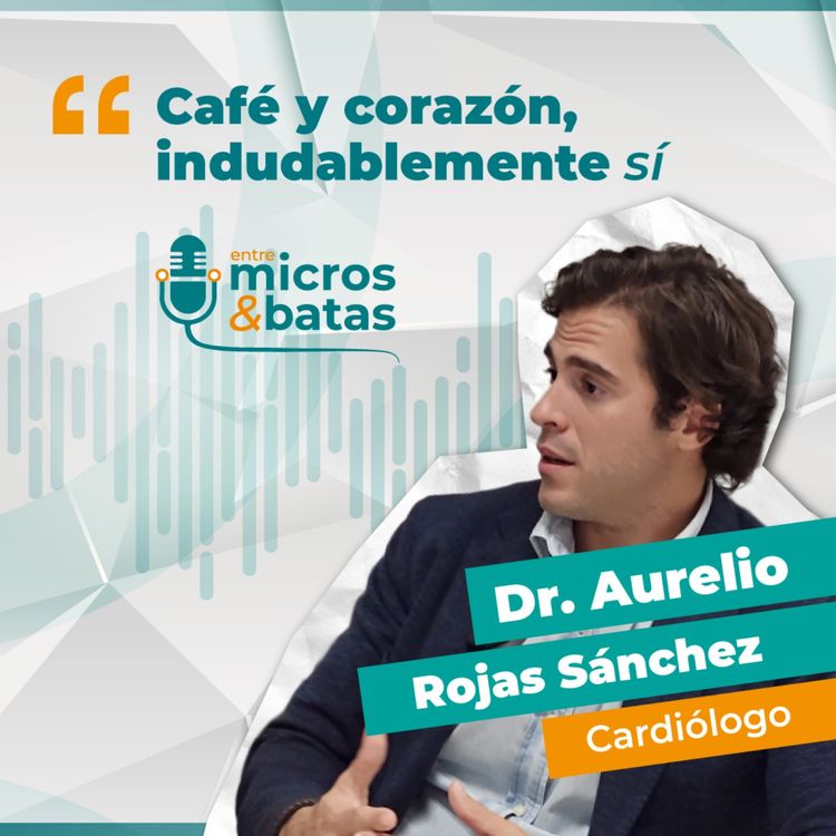 cover art for T2. 01 - Café y corazón, indudablemente sí