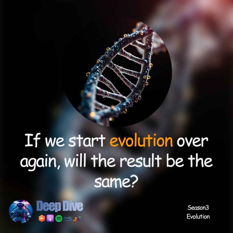 cover art for if we start evolution over again, will the result be the same?