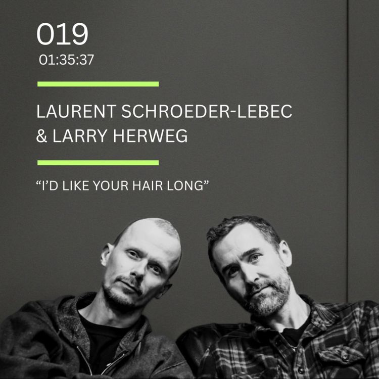 cover art for 019: "I'd Like Your Hair Long" feat. Laurent Schroeder-Lebec & Larry Herweg (Pelican)