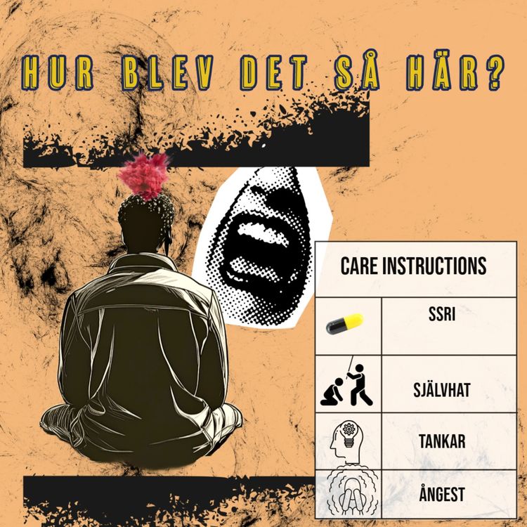 cover art for Hur kunde det bli så här