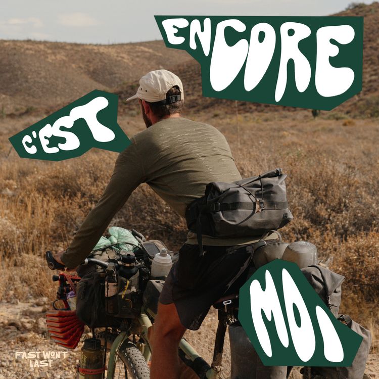 cover art for #27 La découverte des gangs de chiens 