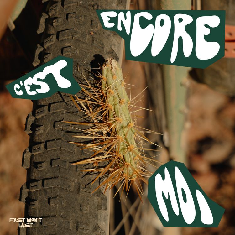 cover art for #29 Revolution Mexicaine et cactus géants