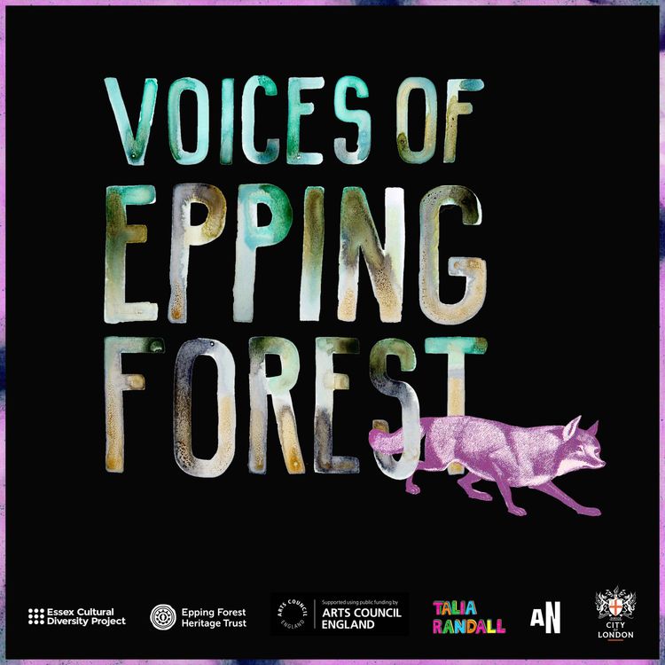 cover art for Welcome to Voices of Epping Forest