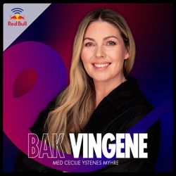 cover art for Bak vingene