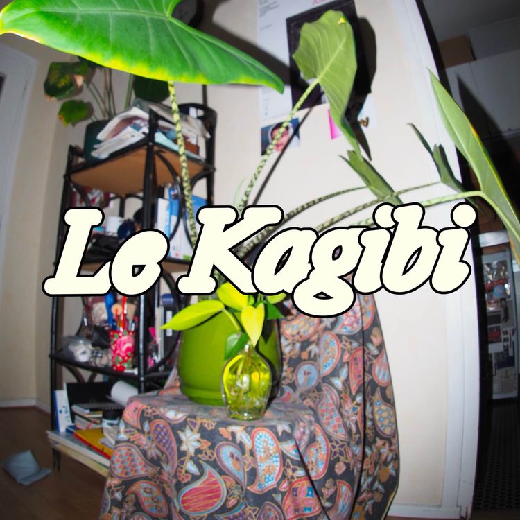 cover art for Retour, maté, double vie et béguin musical - Kagibi Express