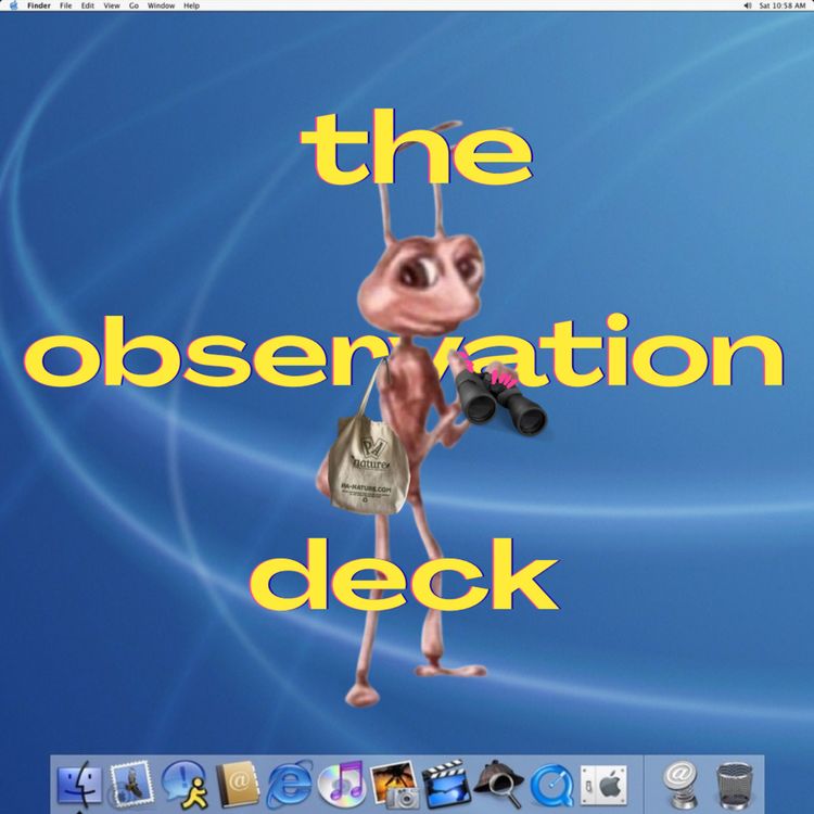 cover art for Instagram Meme History