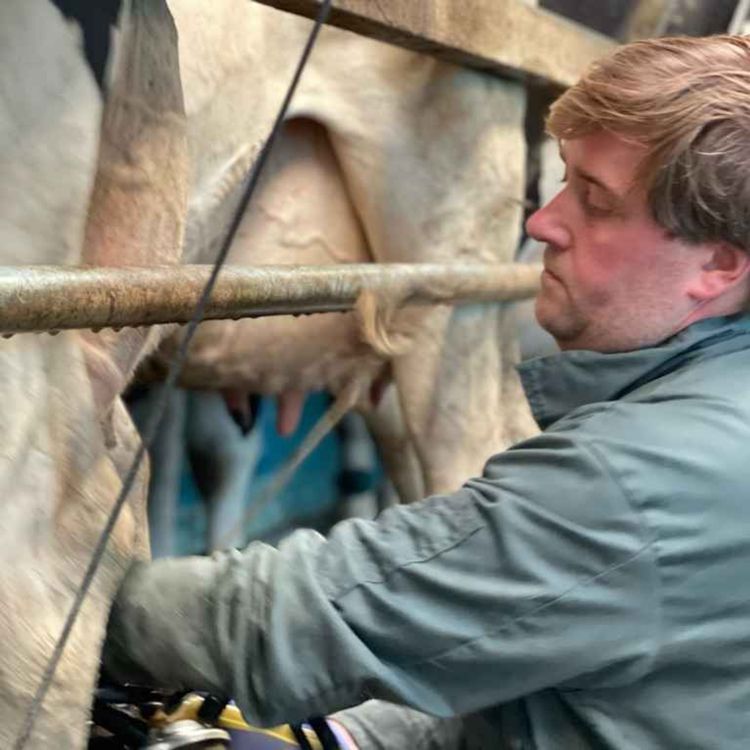 cover art for EPISODE THREE – MILK & MILKING