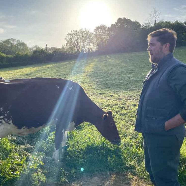 cover art for EPISODE FIVE – WORKING WITH COWS