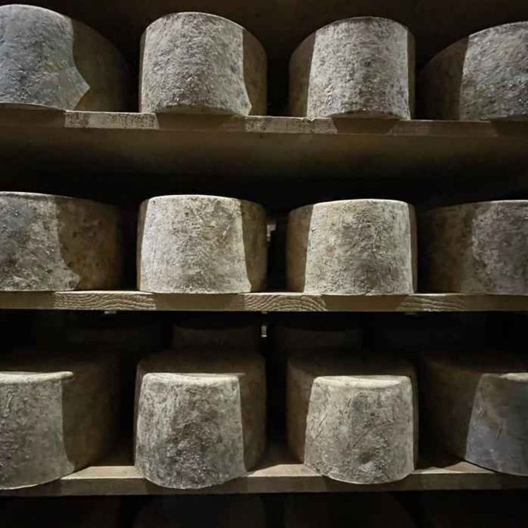 cover art for EPISODE SIX – CHEESE SELECTING & SELLING