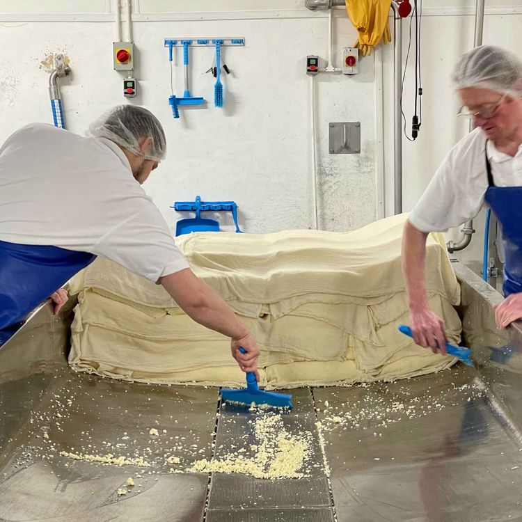 cover art for EPISODE SEVEN – IN THE DAIRY, PART II