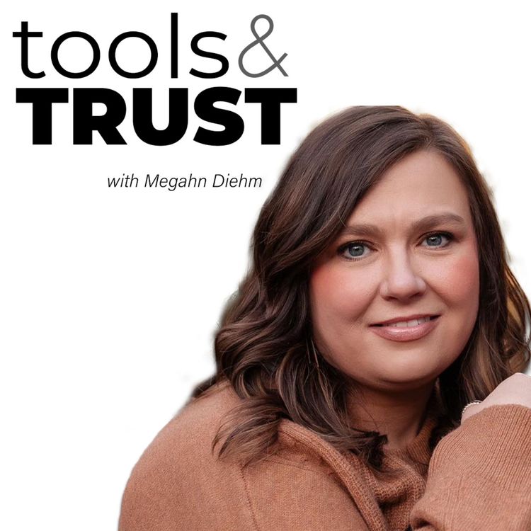 cover art for IT Business Partner Playbook | Special Episode on BRM Tools, with Megan Diehm