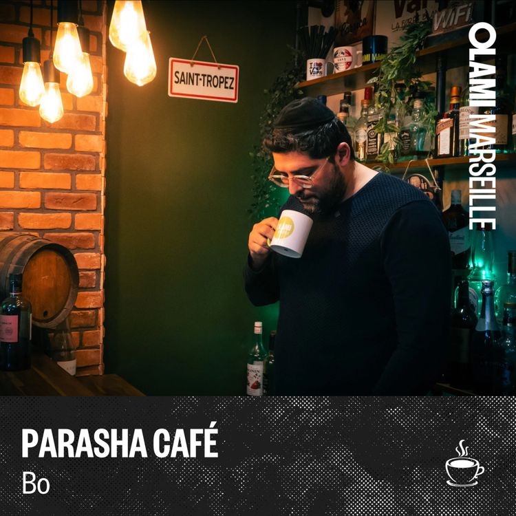 cover art for Parasha Café - Bo