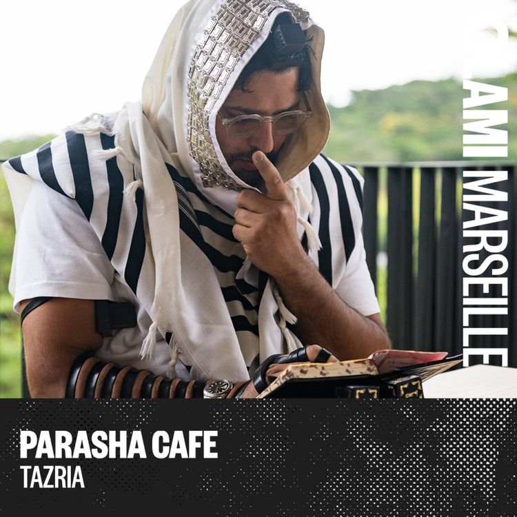 cover art for Parasha Café : Tazria