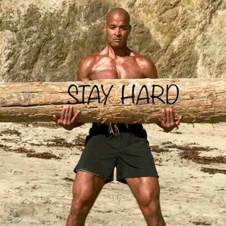 cover art for Commit, Adapt, Succeed - David Goggins