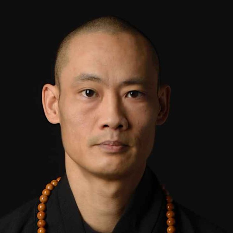 cover art for The Only Way to Be Free Is to Become Transparent - Master She Yang Yi