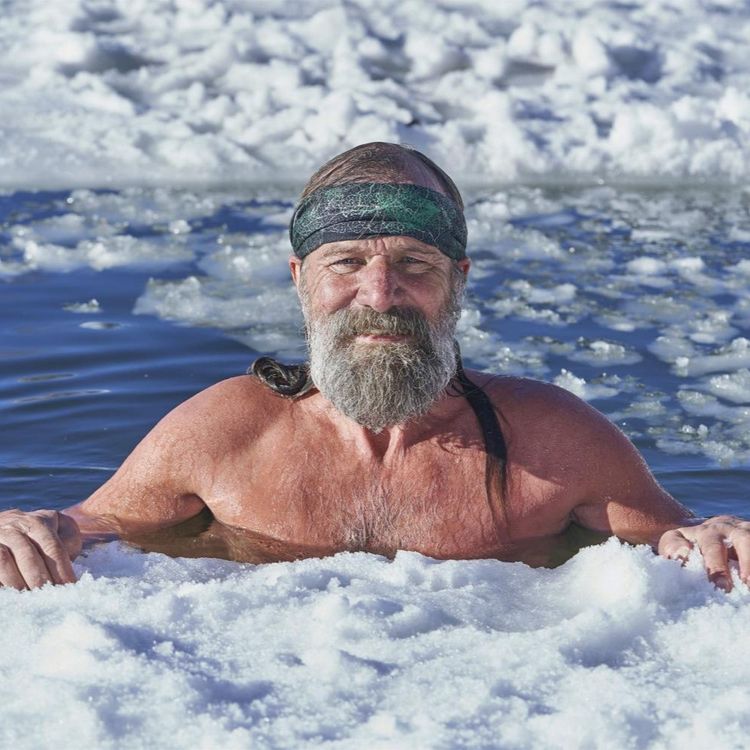 cover art for Mental Mastery: The Key to Holistic Health and Wellness - Wim Hof