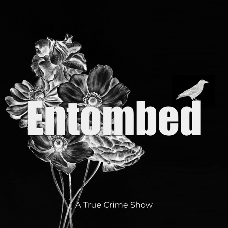 cover art for Episode 67: Buried in Ishikawa’s sand