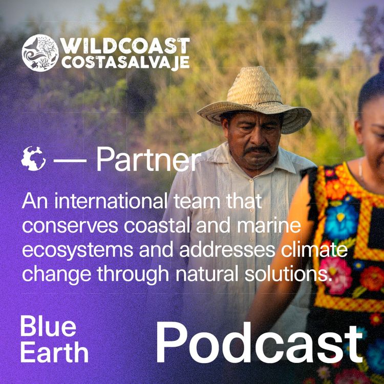 cover art for WILDCOAST: Protecting the World’s Last Wild Shores
