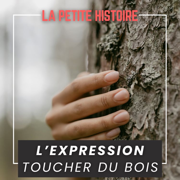 cover art for D'où vient l'expression "Toucher du Bois" ?