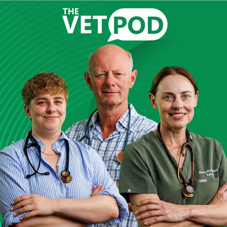cover art for Ep 38: Creeping Through the Herd – Bovine Mycoplasma