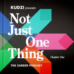 cover art for Not Just One Thing - The Portfolio Career Playbook