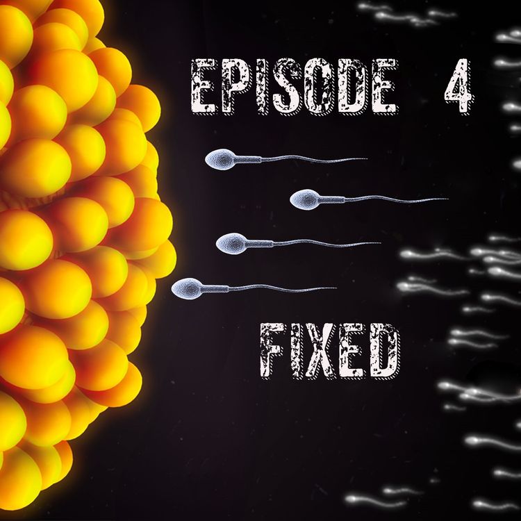 cover art for Episode 4 - Fixed