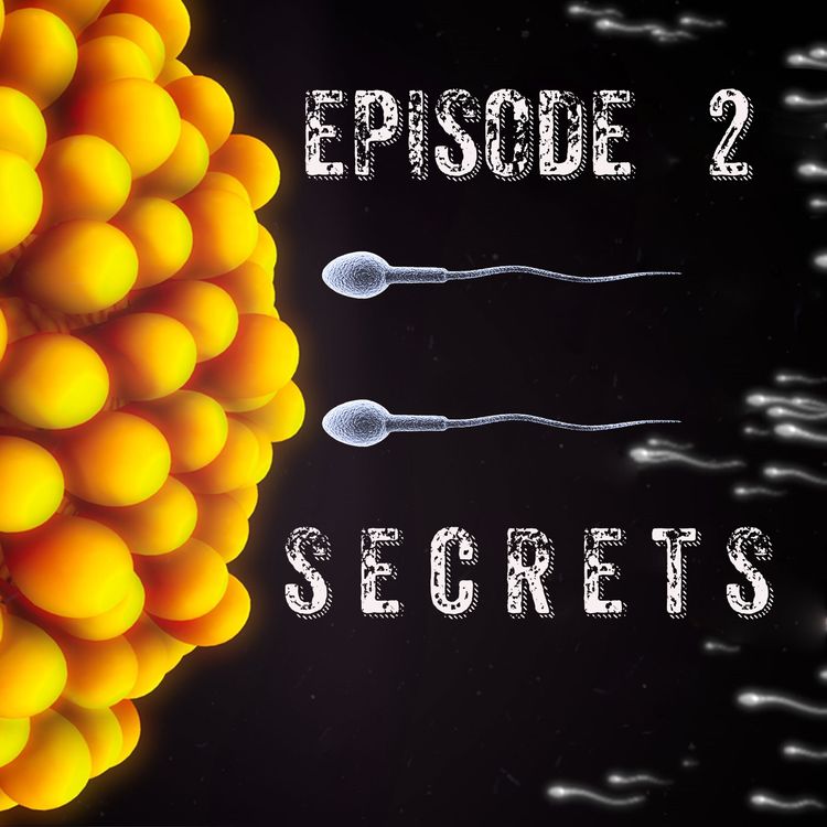 cover art for Episode 2 - Secrets